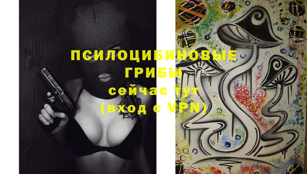 Альфа ПВП Алексеевка