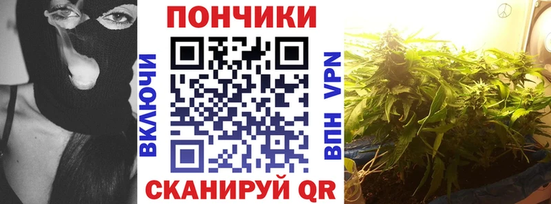 Бошки Шишки SATIVA & INDICA  Купить закладки  Артёмовский 
